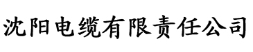 大叔免费观看高清电影电缆厂logo